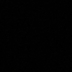 Meet your Posher, Camilla